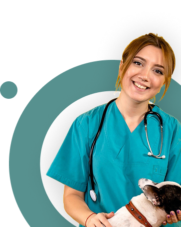 Veterinarian holding a small pet