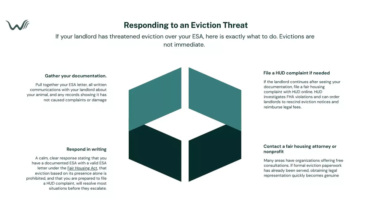 response to landlord threatens eviction over your esa letter