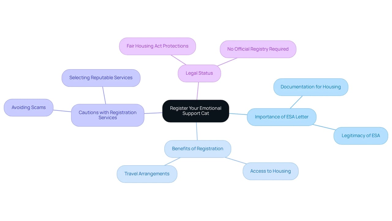 The center represents the main topic of registration, and the branches show related concepts and considerations. Follow the branches to understand the various aspects involved in the process.