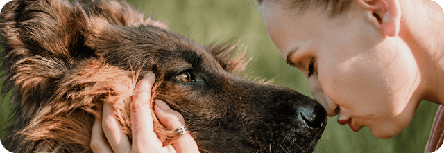 Service Dog Training and Certification