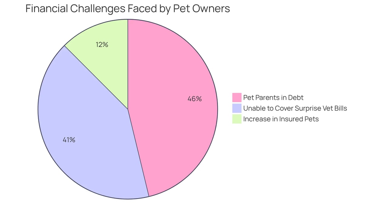 Each segment of the chart represents a different challenge faced by pet owners: the red segment shows the percentage of those in debt, the orange shows those unable to cover unexpected vet bills, and the green highlights the increase in pet insurance enrollment. This helps visualize the need for financial support through insurance.