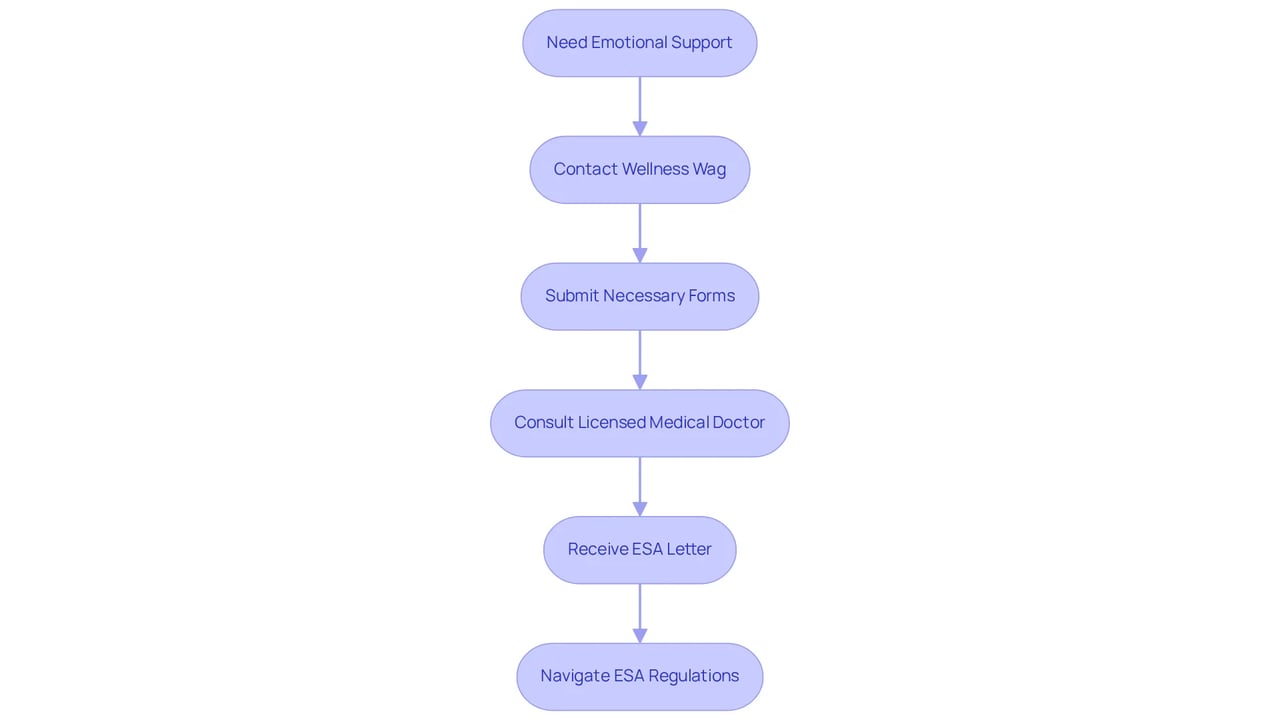 Each box represents a step in the journey to get your ESA documentation. Follow the arrows to see how you move from one step to the next, ensuring you know what to expect along the way.