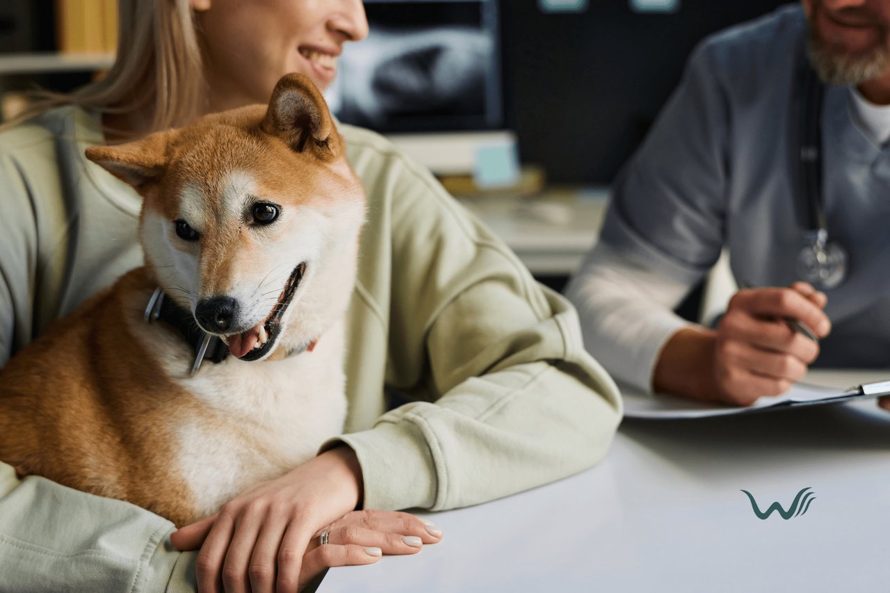 The Truth About ESA Registration Services: Legal Facts vs. Common Myths