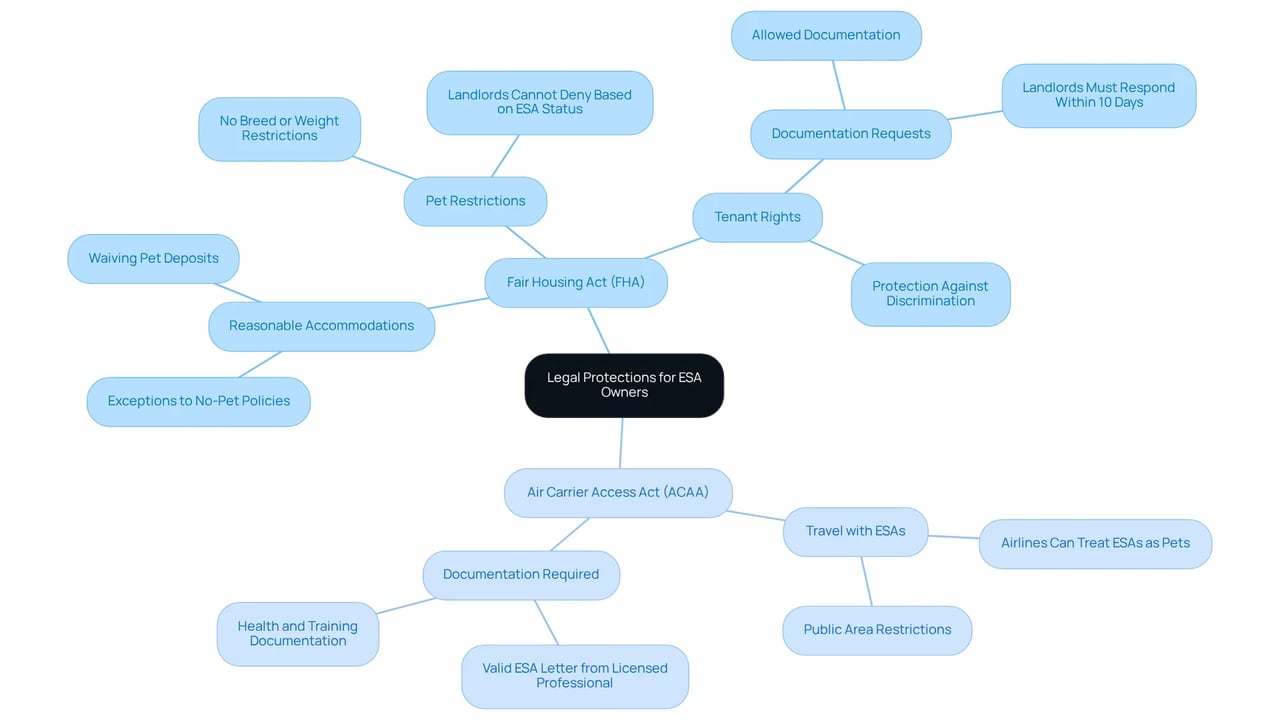 The central node shows the theme of legal protections, while the branches detail the specific laws and their implications. Each color-coded section helps distinguish between the different legal frameworks and their particular aspects.