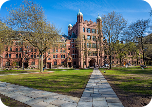 Yale University