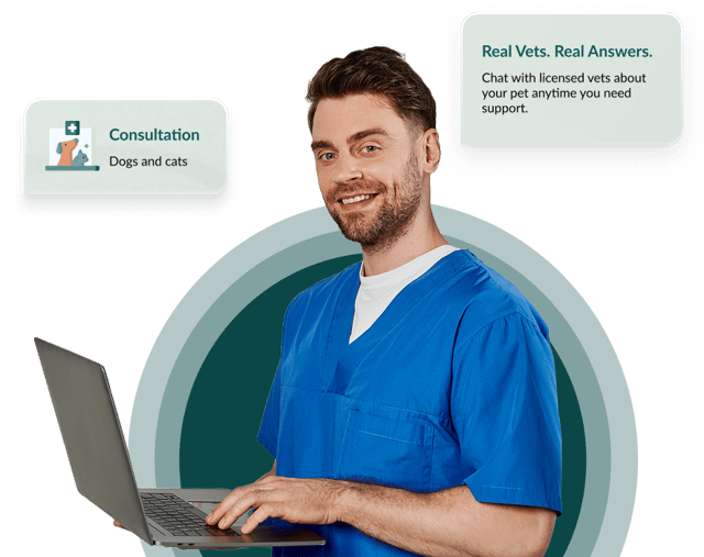 A veterinarian with a laptop