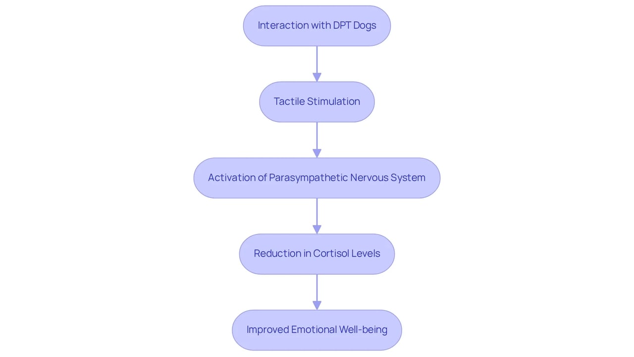 This flowchart shows how interacting with therapy dogs leads to stress relief. Each step builds on the last, illustrating how these loving companions contribute to mental well-being. This flowchart shows how interacting with therapy dogs leads to stress relief. Each step builds on the last, illustrating how these loving companions contribute to mental well-being.