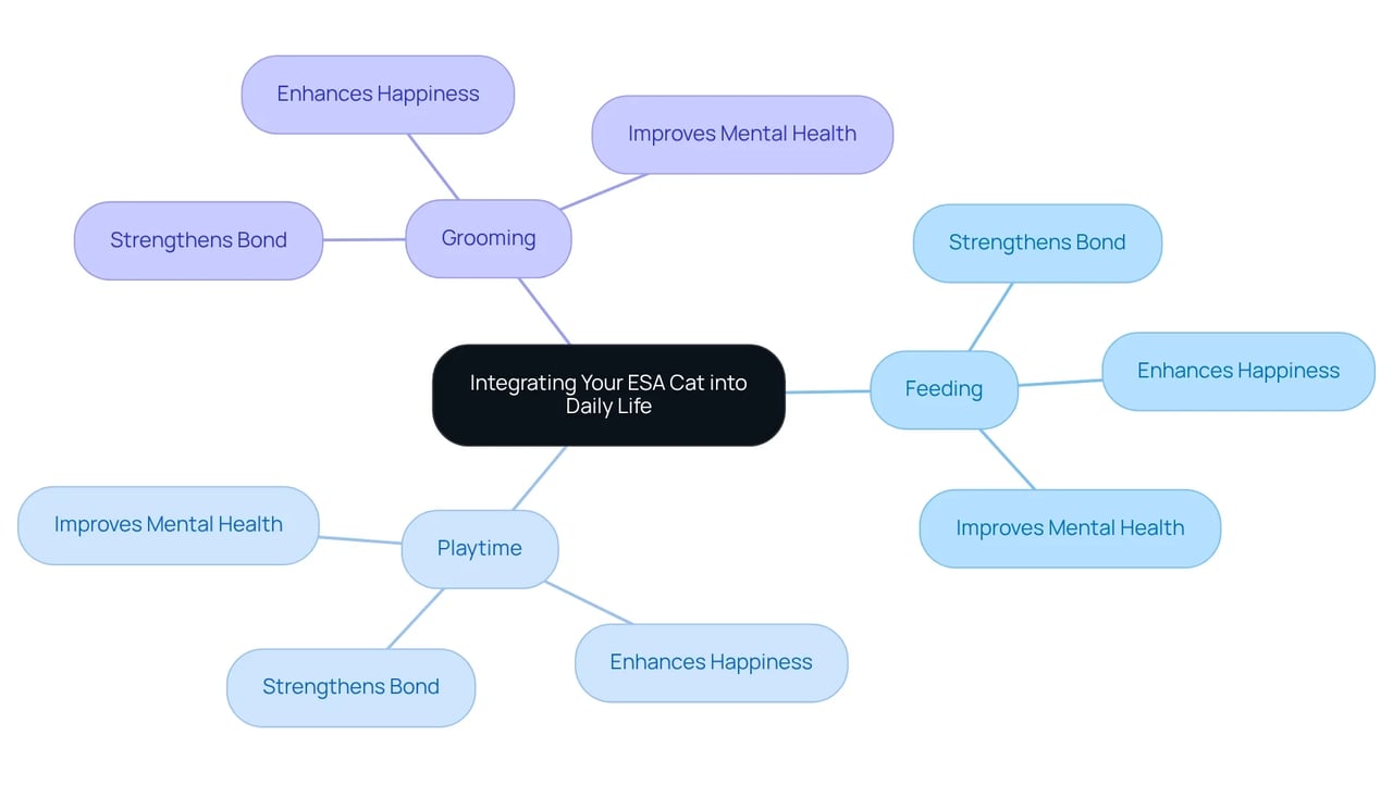 Start at the center with the main idea of integrating your cat into your life, then explore each activity and see how they benefit both you and your emotional support animal.