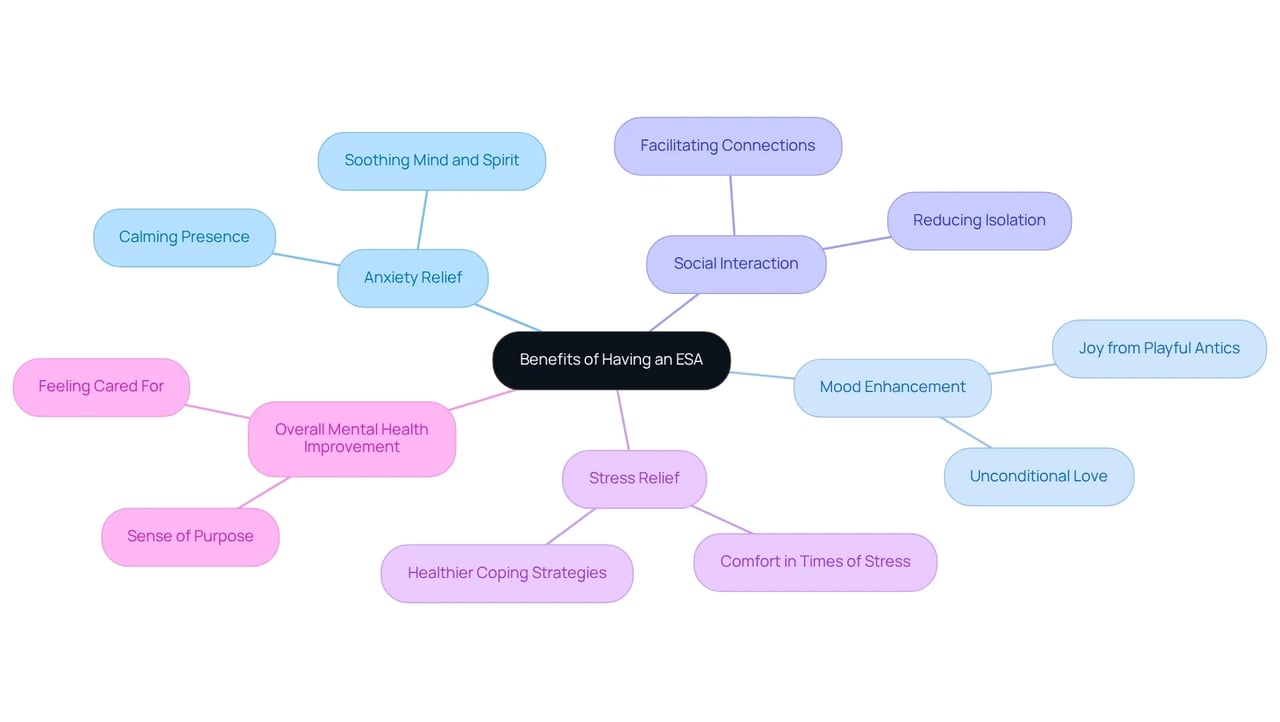 The central node represents the overall benefits of having an ESA, with branches illustrating the key emotional and psychological outcomes. The central node represents the overall benefits of having an ESA, with branches illustrating the key emotional and psychological outcomes.