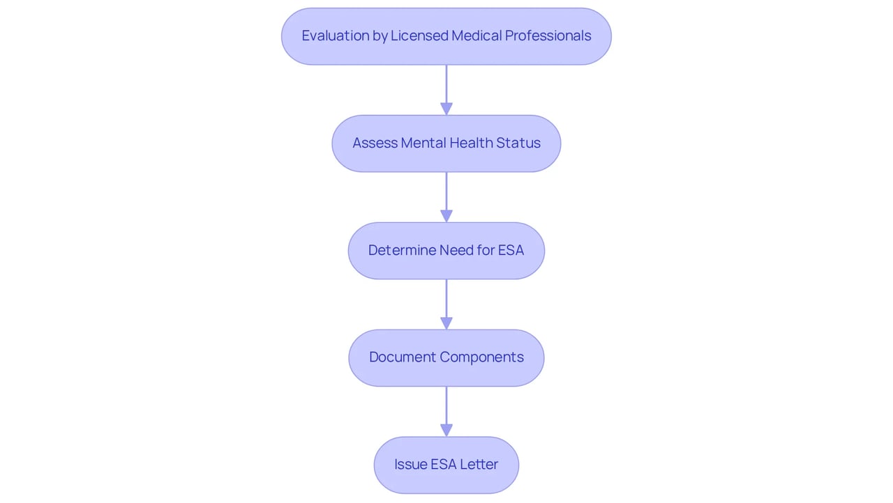 Each box represents a key step in the ESA letter process — follow the arrows to see how each step connects and leads to the final issuance of the letter.