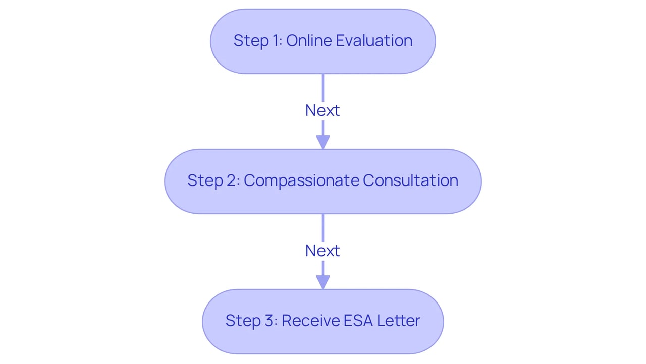 Each box represents a step in the process: start with the online evaluation, then have a consultation, and finally receive your ESA letter. Follow the arrows to see how each step leads to the next.