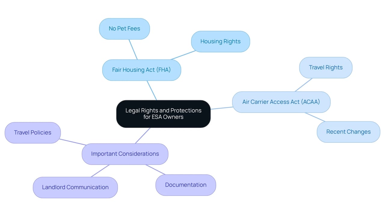 The central node represents the overarching theme, with branches for key laws and considerations, color-coded for clarity. The central node represents the overarching theme, with branches for key laws and considerations, color-coded for clarity.